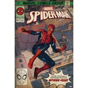 Plakát Spider-Man - Comic Front