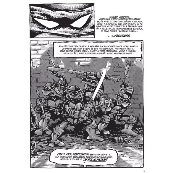 Eastman és Laird: Tini nindzsa teknőcök, 1. kötet: Mi folyik a csatornában?