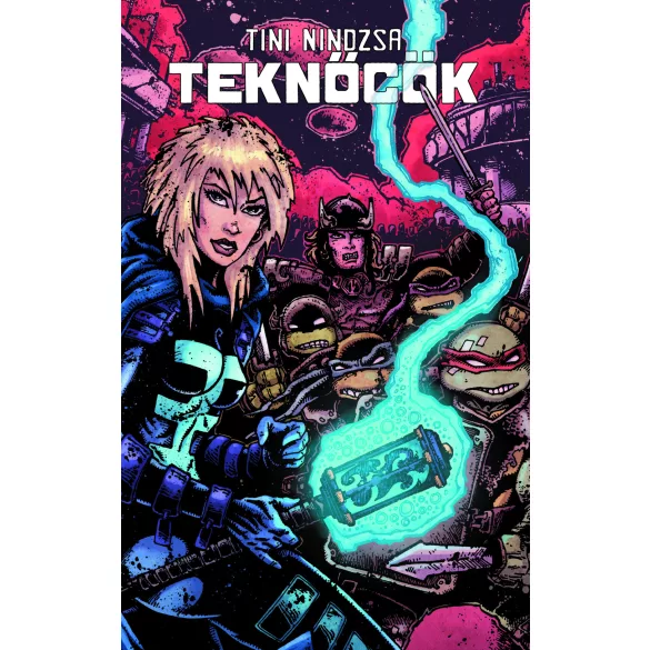 Tini Nindzsa Teknőcök 10.kötet - Limitált változat