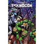 Tini Nindzsa Teknőcök 10.kötet - Normál változat