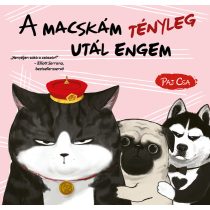 A macskám tényleg utál engem