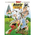 Asterix 1 - Asterix, a Gall