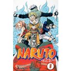 Naruto 5 - A kihívók!