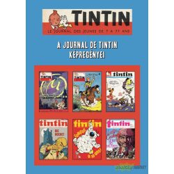 Tintin - A Journal De Tintin képregényei - szakkönyv