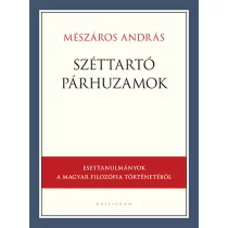 Széttartó párhuzamok