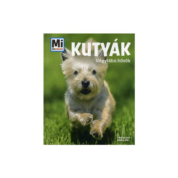 Kutyák