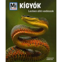 Kigyók