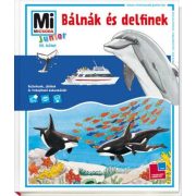 Bálnák és delfinek