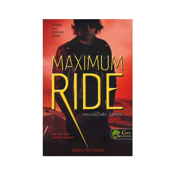 Maximum ride 2.