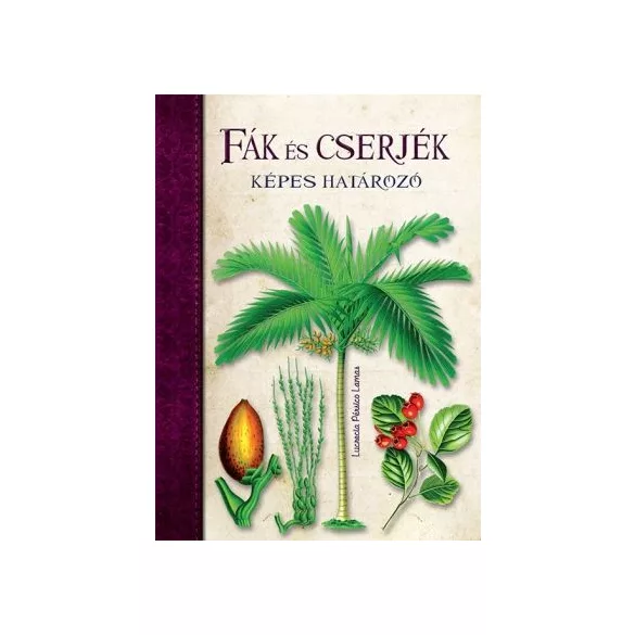 Fák és cserjék