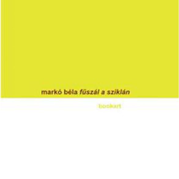 Fűszál a sziklán