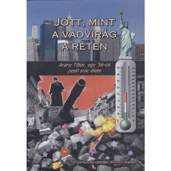 Jött, mint a vadvirág a réten