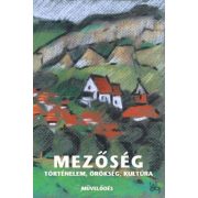 Mezőség - Történelem, örökség, társadalom