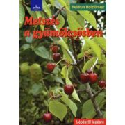 Metszés a gyümölcsösben