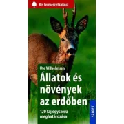 Állatok és növények az erdőben