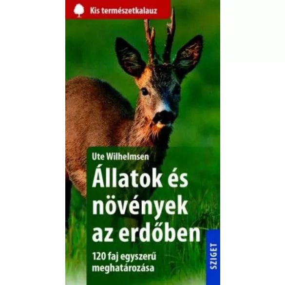 Állatok és növények az erdőben