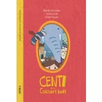 Centi és a Csicseri bolt