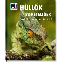   Mi micsoda: Hüllők és kétéltűek - Gekkók, békák, varánuszok