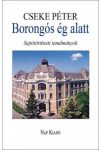 Borongós ég alatt - Sajtótörténeti tanulmányok 1980-2014
