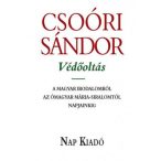   Védőoltás - A magyar irodalomról az Ómagyar Mária-siralomtól napjainkig