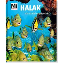 Halak - Víz alatti csodavilág