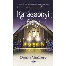 Karácsonyi fény