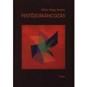 Festőzománcozás