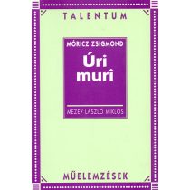 Úri muri - Műeelmzések