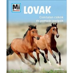 Lovak - Csintalan csikók és pompás paripák - Mi micsoda