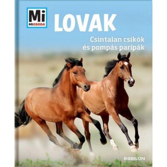 Lovak - Csintalan csikók és pompás paripák - Mi micsoda