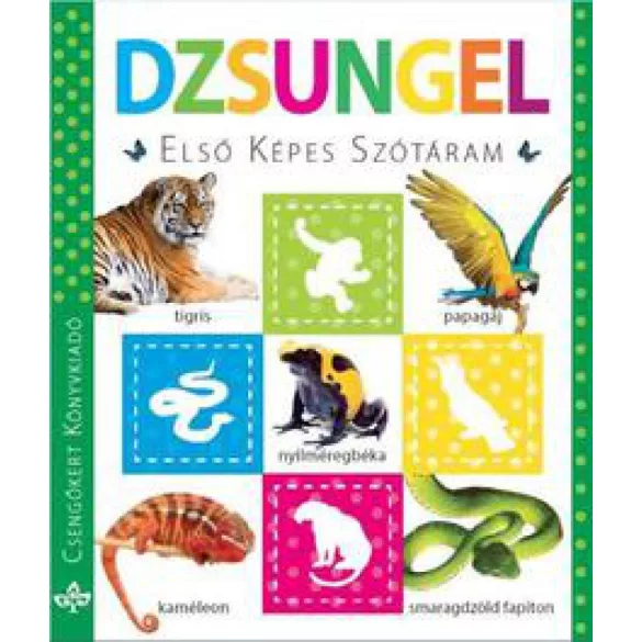 Dzsungel