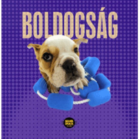 Boldogság