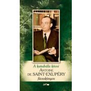 A katedrális kövei - Saint-Exupéry füveskönyve (2015)