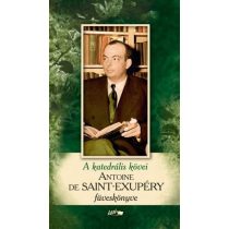 A katedrális kövei - Saint-Exupéry füveskönyve (2015)