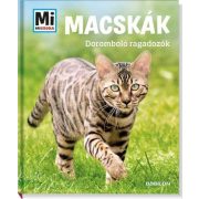 Macskák- doromboló ragadozók