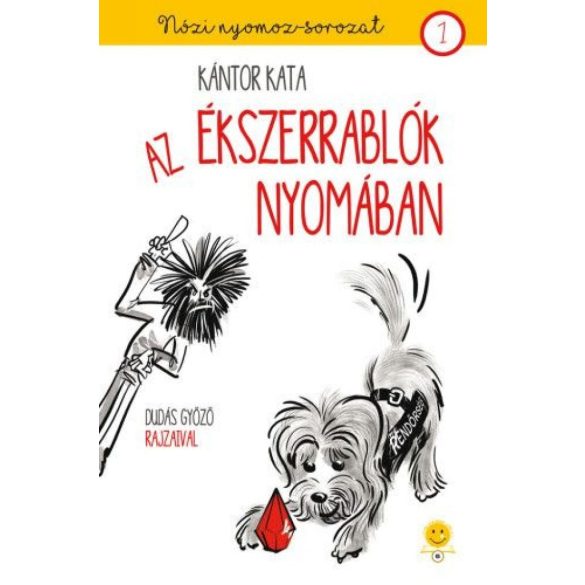 Az ékszerrablók nyomában