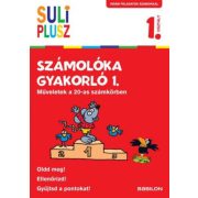   Suli Plusz Számolóka gyakorló 1. - Műveletek a 20-as számkörben