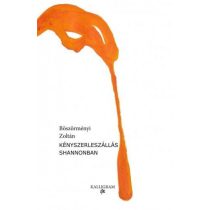 Kényszerleszállás Shannonban