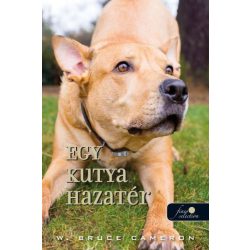 Egy kutya hazatér (Egy kutya hazatér 1.)
