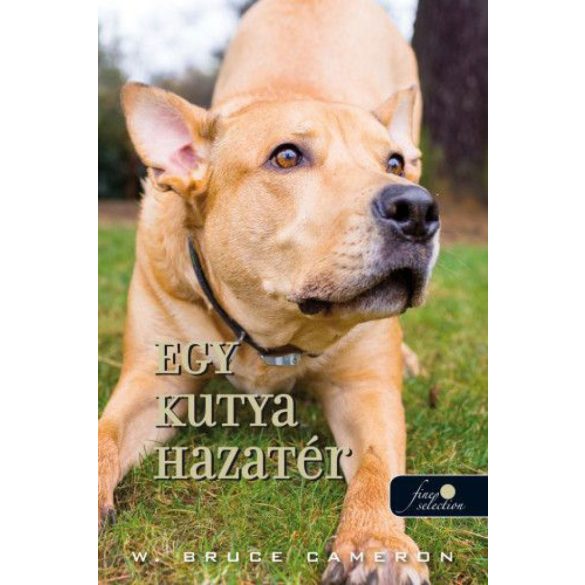 Egy kutya hazatér (Egy kutya hazatér 1.)