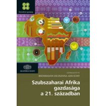 Szubszaharai Afrika gazdasága a 21. században