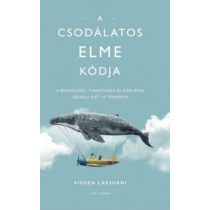 A csodálatos elme kódja