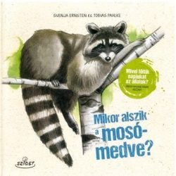   Mikor alszik a mosómedve? - Mivel töltik napjukat az állatok? Miben hasonlítanak hozzád?