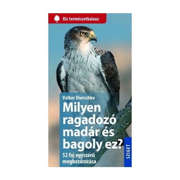 Milyen ragadozó madár és bagoly ez?