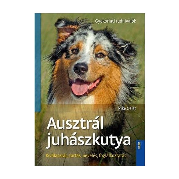 Ausztrál juhászkutya