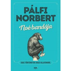 Noé bandája