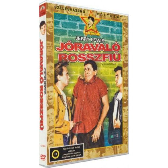 Jóravaló rosszfiú - DVD