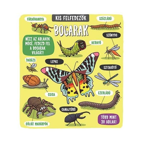 Kis felfedezők - Bogarak