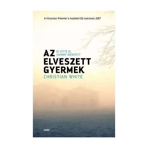 Az elveszett gyermek