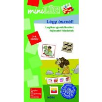   Légy észnél - logikus gondolkodást fejlesztő feladatok 3-4. osztály